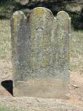image of grave number 455485